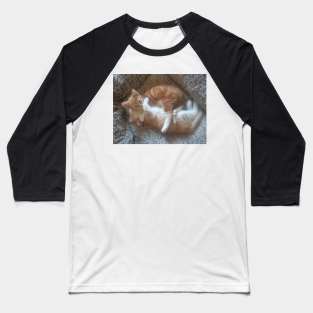 Kitten love Baseball T-Shirt